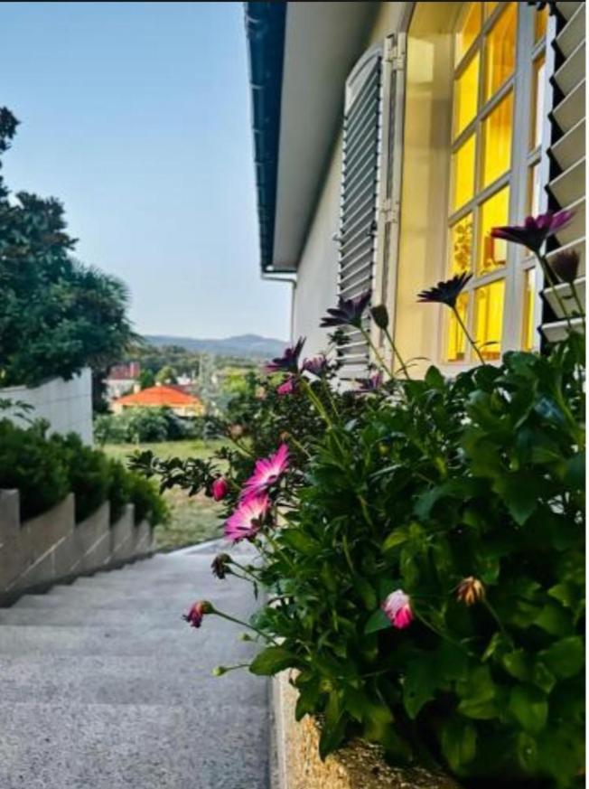 A Casa De Abelleira Ponteareas Bed & Breakfast Bagian luar foto