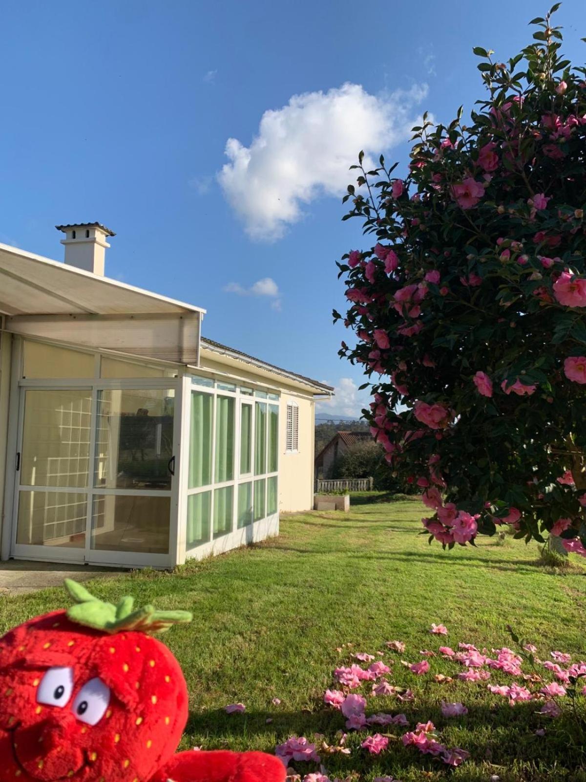 A Casa De Abelleira Ponteareas Bed & Breakfast Bagian luar foto