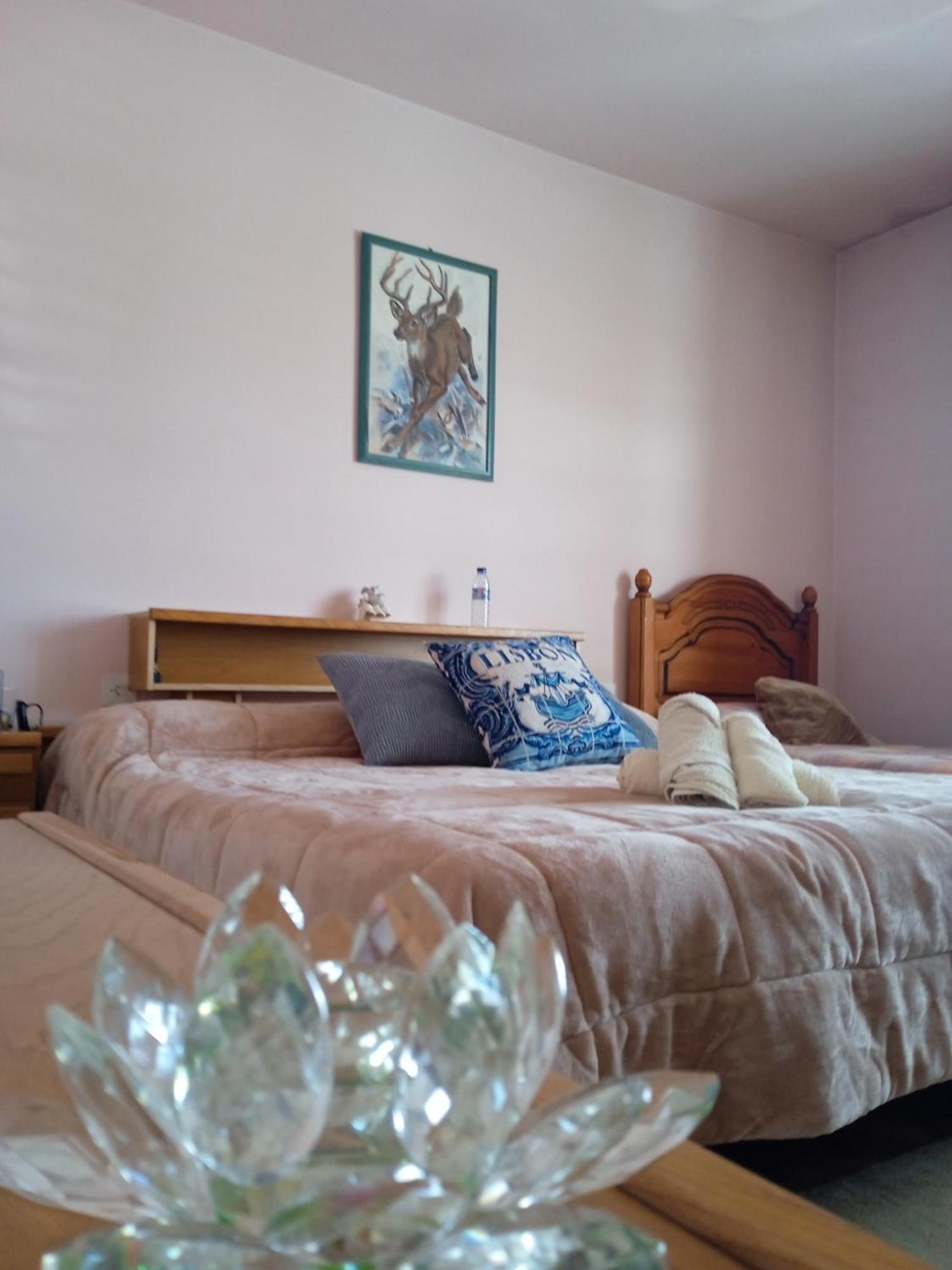 A Casa De Abelleira Ponteareas Bed & Breakfast Bagian luar foto