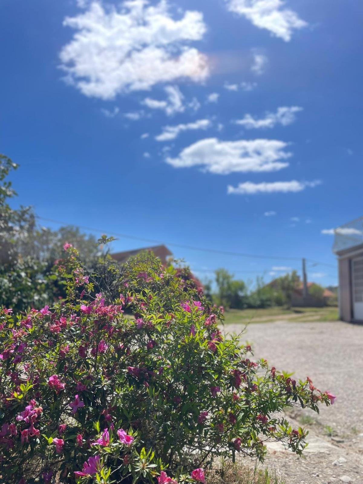 A Casa De Abelleira Ponteareas Bed & Breakfast Bagian luar foto
